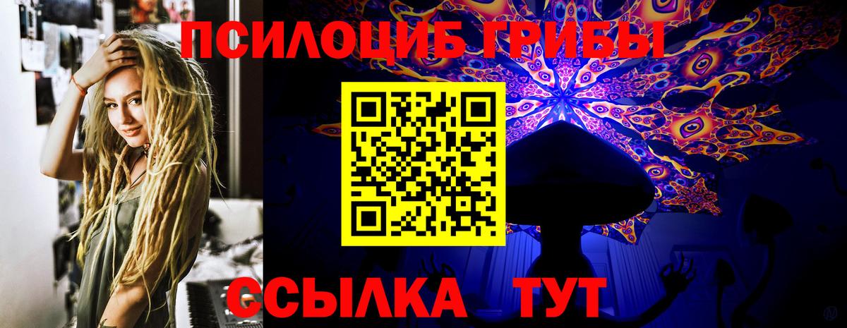 Находка  Псилоцибиновые грибы мухоморы  Вход с VPN 