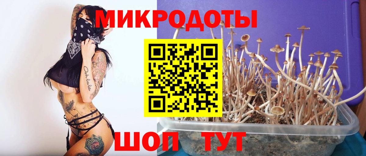 Псилоцибиновые грибы GOLDEN TEACHER Находка